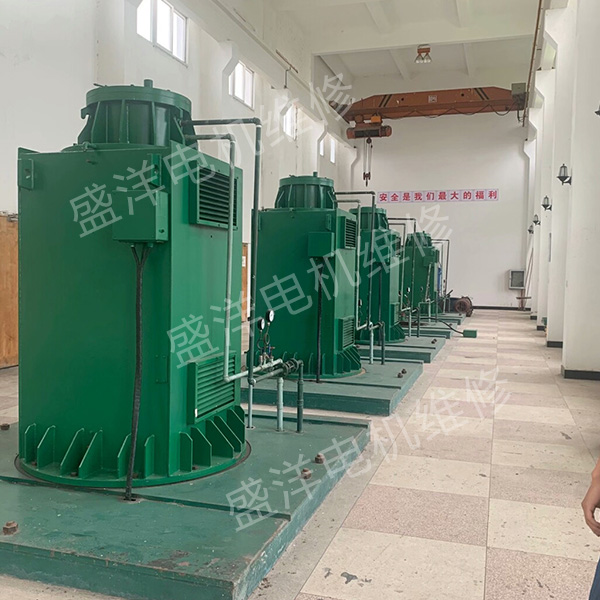 巢湖专业维修电机