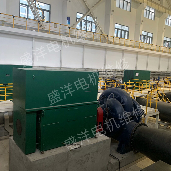 巢湖大型电机修理公司