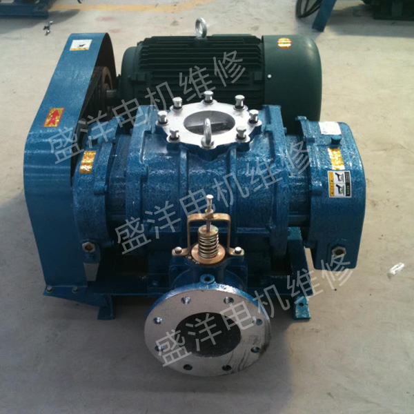 巢湖罗茨风机维修 